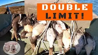 Nova Scotia Duck Hunting | First Double Limit 2020