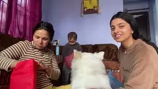 Pitani game 