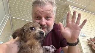 Хвостатое счастье в прямом эфире!