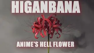 The Red Spider Lily - Anime's Hell Flower