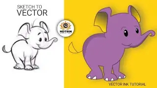 Sketch to vector illustration in vector ink | vector ink turorial