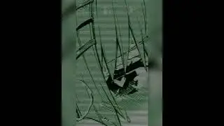HENTAI  