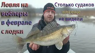 Судак на спиннинг в феврале.  Воблеры рулят | Часть первая