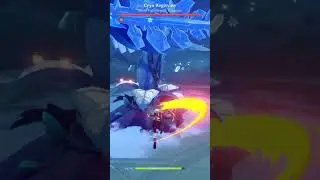 My C6 Fischl Damage (Mid Build) 