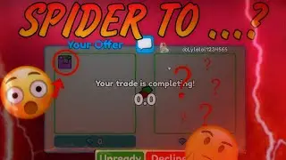 TRADE SPIDER TV TO ... ? (ALL MY TRADES TODAY)