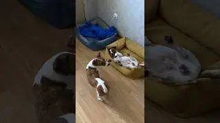 Подписывайся, у нас скучно не бывает!