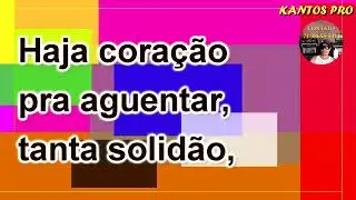 CANÁRIOS DO REINO-DOIS ESTRANHOS/HAJA CORAÇÃO/CANÇÃO DO ROEDOR(KARAOKÊ)(PLAYBACK KANTOS PRO) #plays