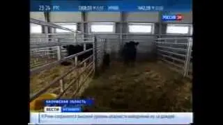 Успех Калужской области.