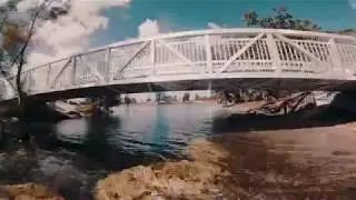 Bridge Action