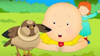 Fly Like a Bird | Caillou Cartoon