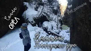 Каньон "Медовый Лис "("Плачущих душ "), скала "Орёл". Путешествия по Приморью.