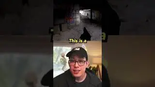 most realistic video game ever