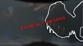 HOW DID WE MAKE QUOTA - Lethal Company