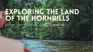 Why You Should Visit Sarawak!