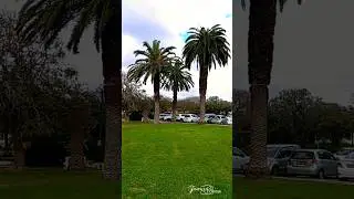 Природа на севере Израиля