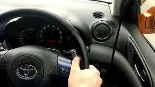 Подрулевые лепестки st246