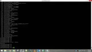 view linux command history with date time
