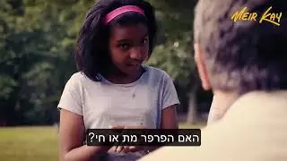 פרופסור   אתגר הפרפר -   מתורגם