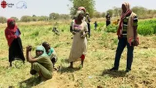 Restoring hope for Women (Caritas Response in Chad)