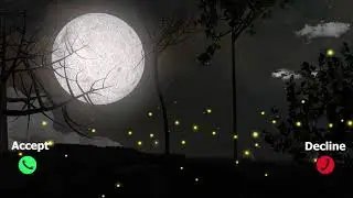 Fireflies Ringtone - New Ringtone 2021 - Telephone Ringtone