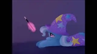 The Show