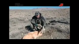 Эдуард Бендерский. Горная охота. Иран
