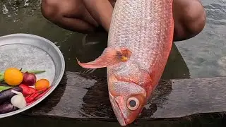 Sariwang Ulam Paksiw na Maya maya sa Tanghalian! 😱