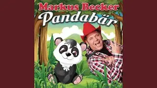 Pandabär