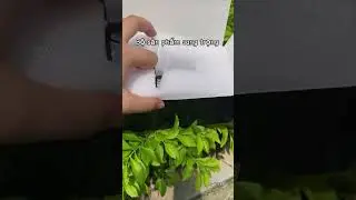 Siêu phẩm cho mùa hè . Vừa trang trí taplo, vừa khuếch tán nước hoa giúp cho chiếc xe luôn thơm tho