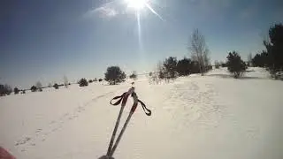 Покатушки на лыжах и прогулка с Фаготом!!!