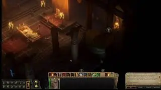 Pathfinder:Kingmaker  Fiona (Female Monk), Fan choice 