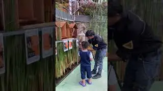 Jejak Kompas Petualang, Menemani Sang Pemberani di Mini Kebun Binatang