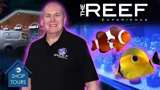 *MARINE-ONLY* Fish Shop?! | The Reef Experience Opening Shop Tour | Hidden Gems