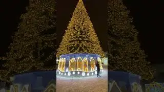 Гуляем по новогоднему Белгороду