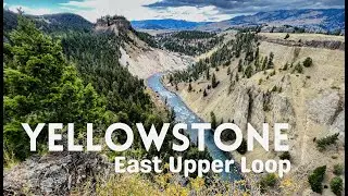 Yellowstone - Tour of East Upper Loop Dunraven Pass