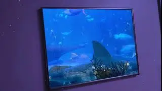 Parallax Aquarium VFX