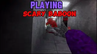 PLAYING SCARY BABOON