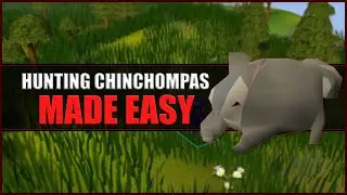 Quick Guide to Hunting Grey Chinchompas in OSRS | Hunter Guide | Hunters Rumours