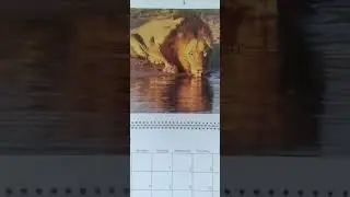 🇿🇦❣🇿🇦