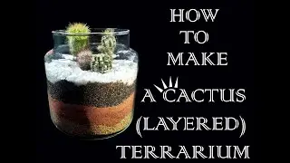 HOW TO MAKE A CACTUS LAYERED TERRARIUM