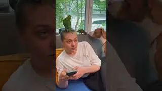 Как попугая чуть не сожрала собака и коты😂
