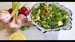 Зеленые салат самые вкусные и полезные