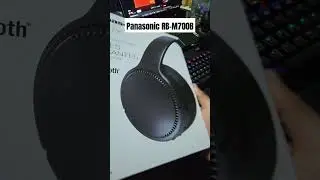 Audifonos Panasonic