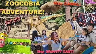 ZOOCOBIA ADVENTURE! | CAMEL RIDE! | GRAVITY CART!