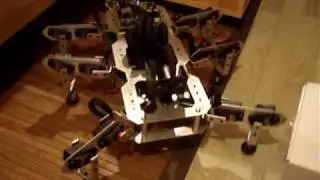 Hexapod Animabot manage himself