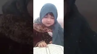 20 мая 2020 г.