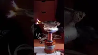 21 ноября 2021 г.