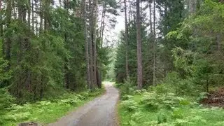 Via Claudia Augusta Mountain Biking | Austria