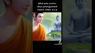 බුද්ධං සරණං ගච්ඡාමි #500kview #foryourpage #rojer #electricial