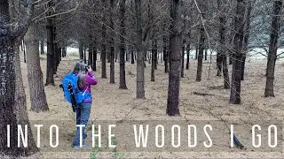 Photographing Forests with the Nikon Z6 - A Landscape Photography Journey on the Grassy Creek Trail
